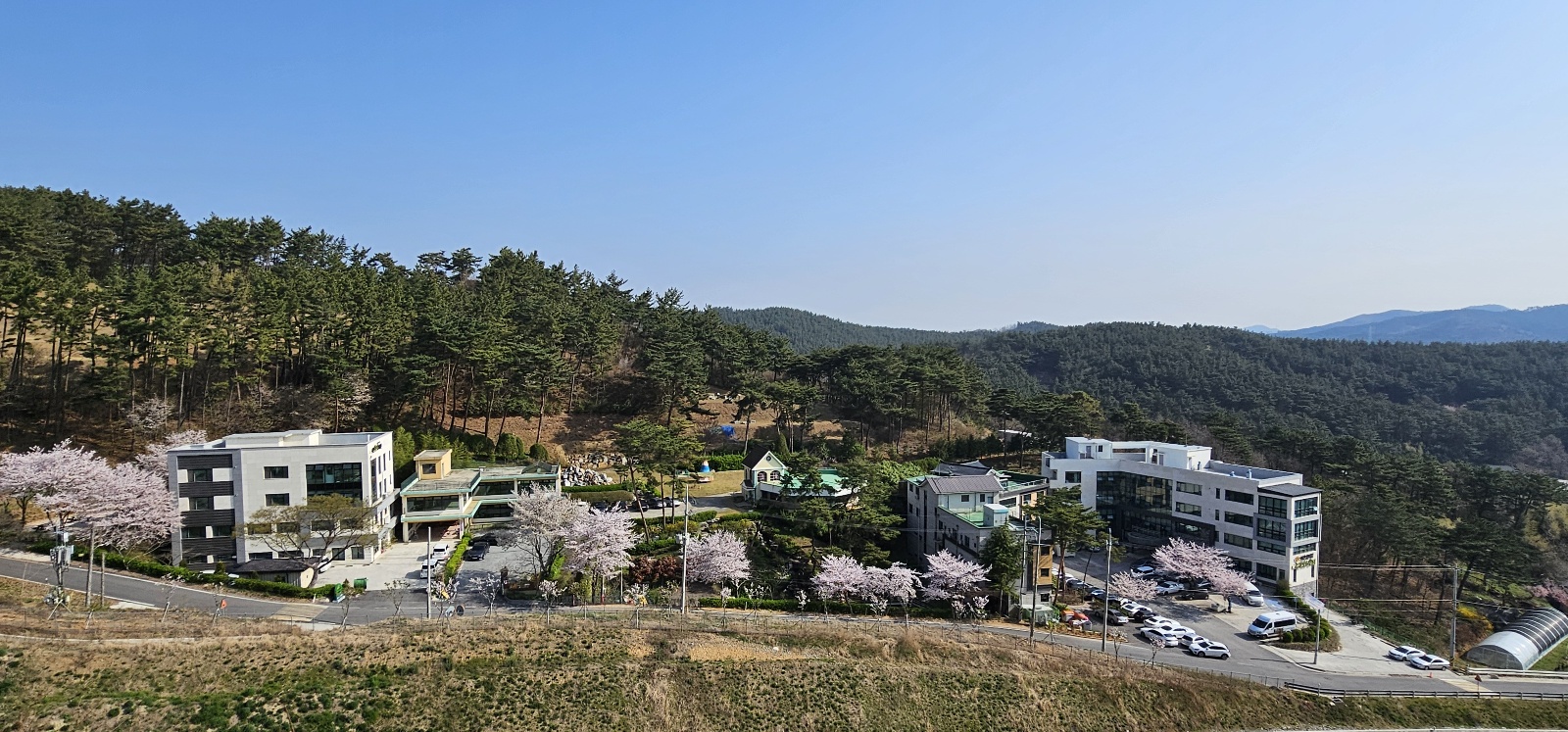 산과 벚꽃 사이에 자리한 이락복지재단 산하시설 전경