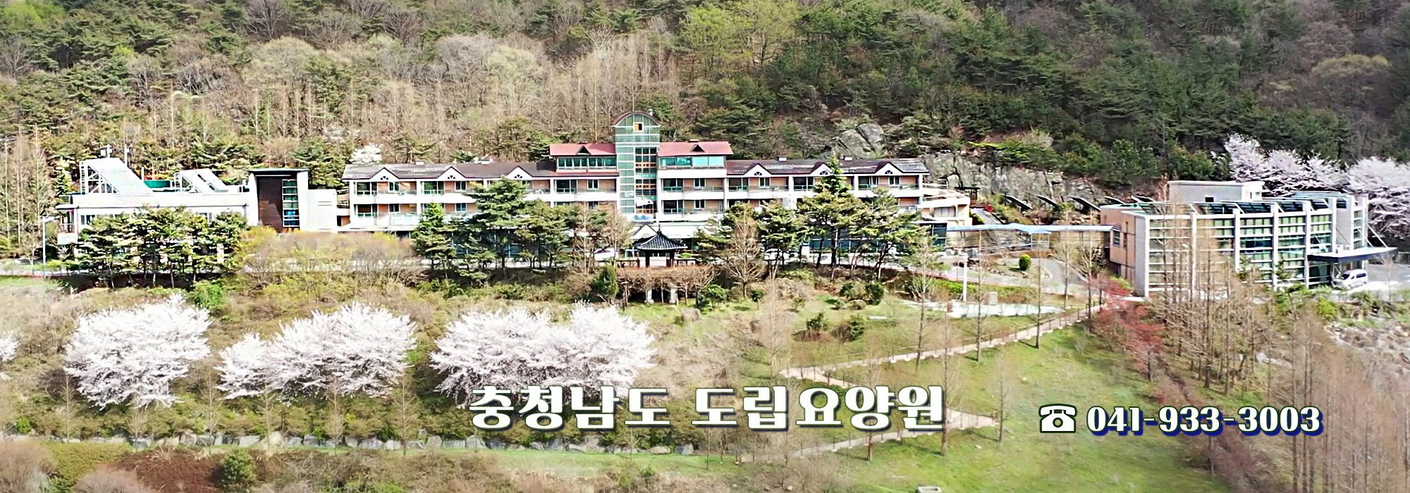 벚꽃과 숲으로 둘러싸인 충청남도 도립요양원 전경
